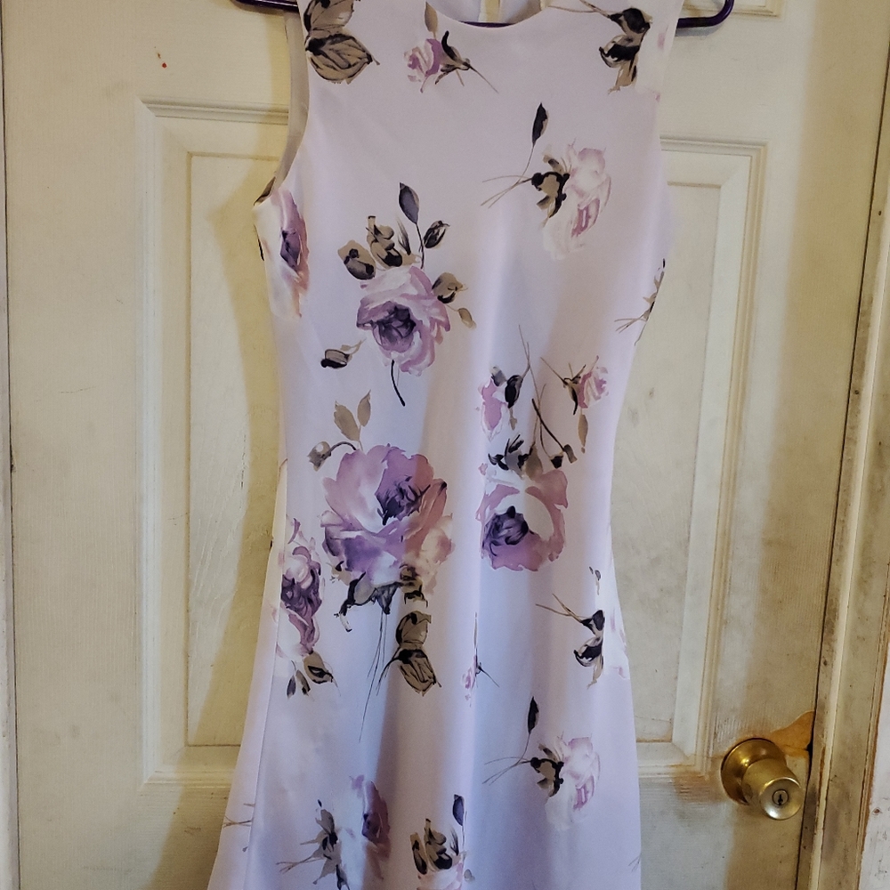 CALIFORNIA GOLD RUSH DRESS. MEDIUM. ROUNDNECK. MULTICOLOR. - Picture 2 of 8